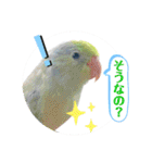 マメルリハ達25（個別スタンプ：3）