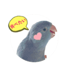 マメルリハ達25（個別スタンプ：6）