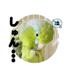 マメルリハ達25（個別スタンプ：7）