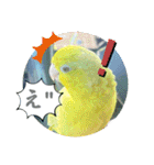 マメルリハ達25（個別スタンプ：10）