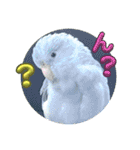 マメルリハ達25（個別スタンプ：14）