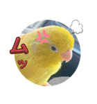 マメルリハ達25（個別スタンプ：15）