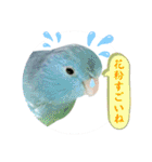 マメルリハ達25（個別スタンプ：16）