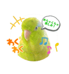 マメルリハ達25（個別スタンプ：27）