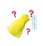 マメルリハ達25（個別スタンプ：30）