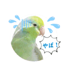 マメルリハ達25（個別スタンプ：33）
