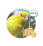 マメルリハ達25（個別スタンプ：35）