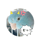 マメルリハ達25（個別スタンプ：36）