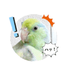 マメルリハ達25（個別スタンプ：38）