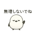 シマエナガちゃん☆1（個別スタンプ：24）