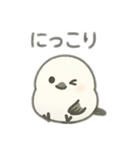 シマエナガちゃん☆1（個別スタンプ：39）