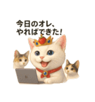 いちご王国の猫と会話スタンプ（個別スタンプ：24）