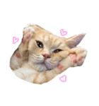 ぶんぞう（ねこ）の日常（個別スタンプ：9）