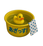 桶とアヒル（個別スタンプ：4）