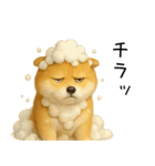 柴犬の日常（2）40個／柴犬／拒否柴／豆柴（個別スタンプ：1）