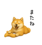 柴犬の日常（2）40個／柴犬／拒否柴／豆柴（個別スタンプ：9）