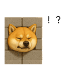柴犬の日常（2）40個／柴犬／拒否柴／豆柴（個別スタンプ：10）