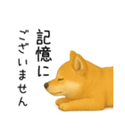 柴犬の日常（2）40個／柴犬／拒否柴／豆柴（個別スタンプ：12）