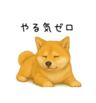 柴犬の日常（2）40個／柴犬／拒否柴／豆柴（個別スタンプ：14）
