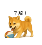 柴犬の日常（2）40個／柴犬／拒否柴／豆柴（個別スタンプ：20）