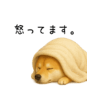 柴犬の日常（2）40個／柴犬／拒否柴／豆柴（個別スタンプ：22）