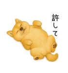 柴犬の日常（2）40個／柴犬／拒否柴／豆柴（個別スタンプ：26）
