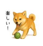 柴犬の日常（2）40個／柴犬／拒否柴／豆柴（個別スタンプ：28）