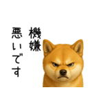 柴犬の日常（2）40個／柴犬／拒否柴／豆柴（個別スタンプ：29）