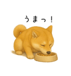柴犬の日常（2）40個／柴犬／拒否柴／豆柴（個別スタンプ：32）