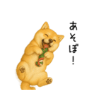 柴犬の日常（2）40個／柴犬／拒否柴／豆柴（個別スタンプ：40）