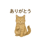 ふてかわ猫のスタンプ生活（個別スタンプ：1）