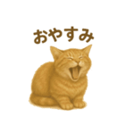 ふてかわ猫のスタンプ生活（個別スタンプ：4）