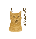 ふてかわ猫のスタンプ生活（個別スタンプ：5）