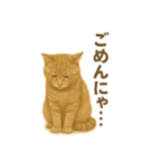ふてかわ猫のスタンプ生活（個別スタンプ：6）