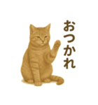 ふてかわ猫のスタンプ生活（個別スタンプ：7）