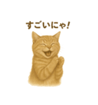 ふてかわ猫のスタンプ生活（個別スタンプ：10）
