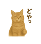 ふてかわ猫のスタンプ生活（個別スタンプ：11）