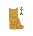 ふてかわ猫のスタンプ生活（個別スタンプ：12）