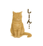 ふてかわ猫のスタンプ生活（個別スタンプ：15）