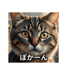 まったり猫だにゃん（個別スタンプ：9）