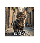 まったり猫だにゃん（個別スタンプ：10）