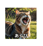 まったり猫だにゃん（個別スタンプ：12）