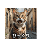 まったり猫だにゃん（個別スタンプ：13）