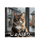まったり猫だにゃん（個別スタンプ：14）