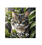 まったり猫だにゃん（個別スタンプ：15）