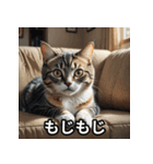 まったり猫だにゃん（個別スタンプ：16）