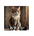 まったり猫だにゃん（個別スタンプ：17）