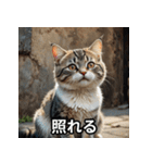 まったり猫だにゃん（個別スタンプ：18）
