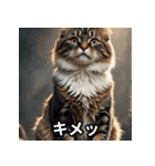 まったり猫だにゃん（個別スタンプ：24）