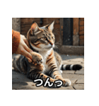 まったり猫だにゃん（個別スタンプ：25）